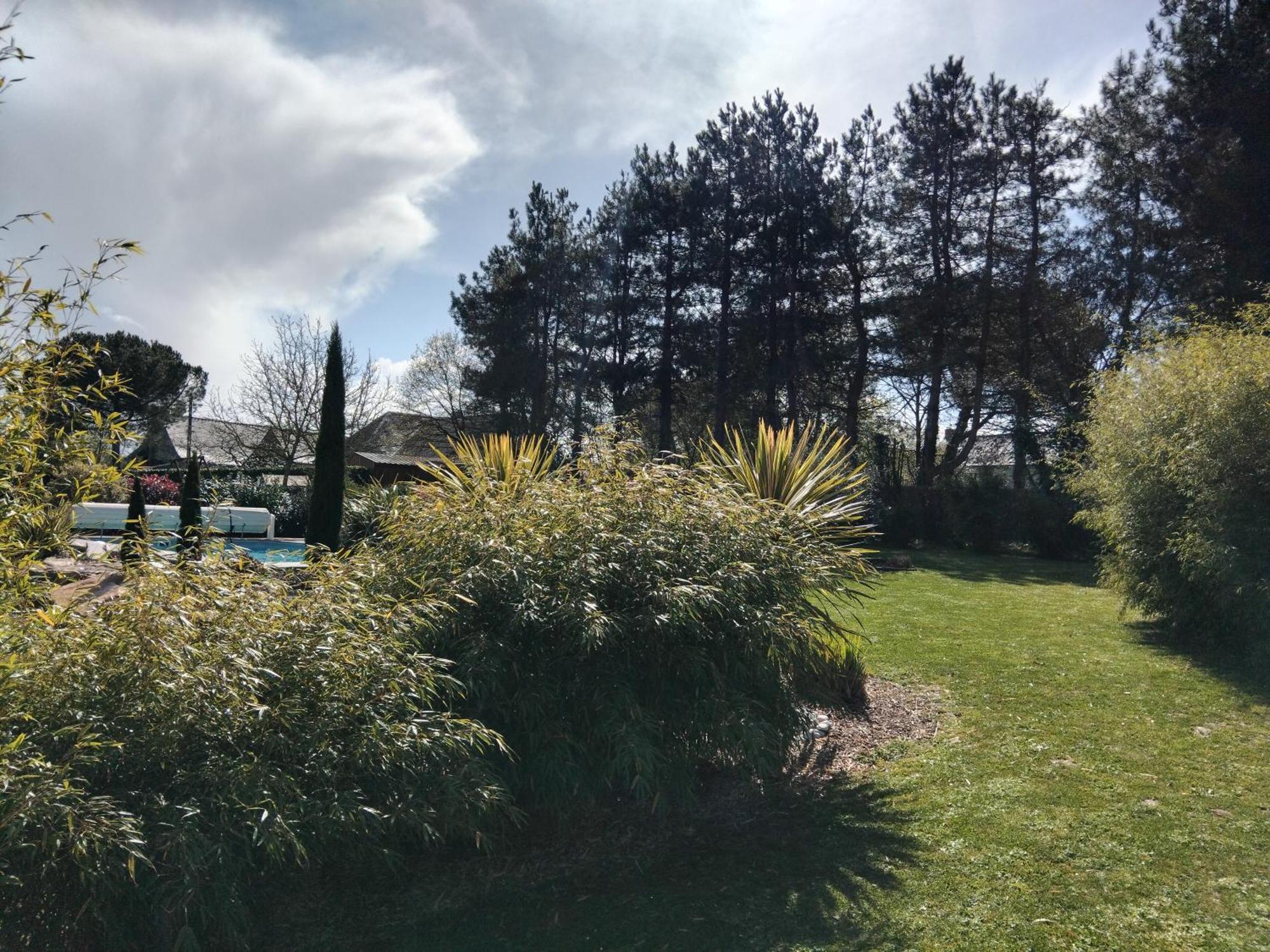 Chambre Dans Un Ecrin De Verdure Angrie Exterior foto