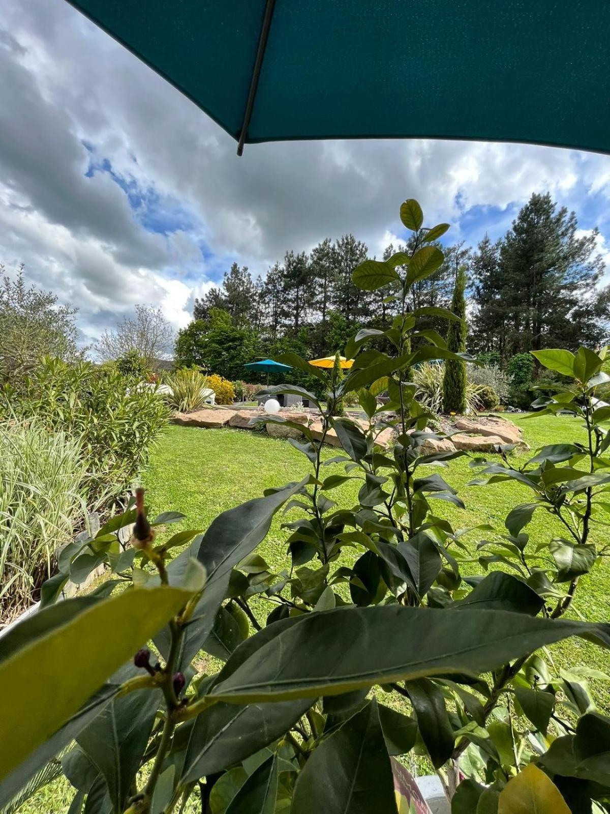Chambre Dans Un Ecrin De Verdure Angrie Exterior foto
